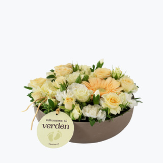 Velkommen til verden